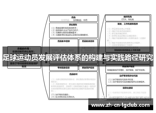 足球运动员发展评估体系的构建与实践路径研究