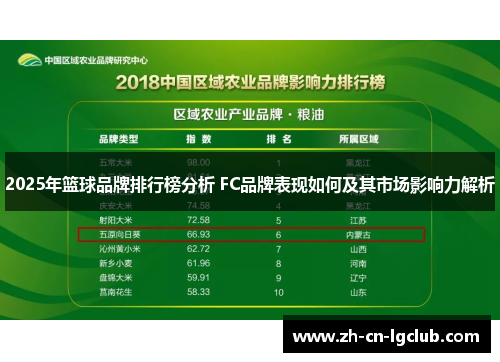 2025年篮球品牌排行榜分析 FC品牌表现如何及其市场影响力解析