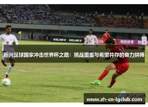 新兴足球国家冲击世界杯之路：挑战重重与希望并存的奋力拼搏