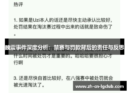 魏震事件深度分析：禁赛与罚款背后的责任与反思