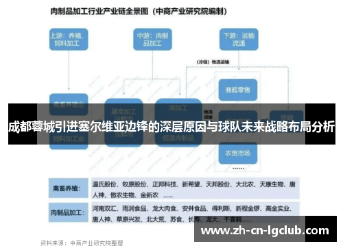 成都蓉城引进塞尔维亚边锋的深层原因与球队未来战略布局分析