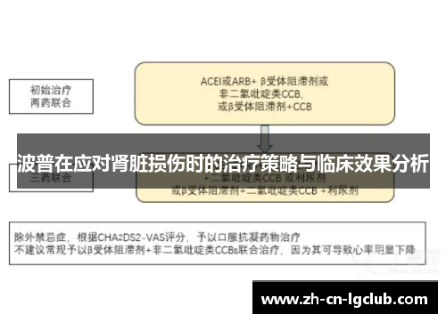 波普在应对肾脏损伤时的治疗策略与临床效果分析