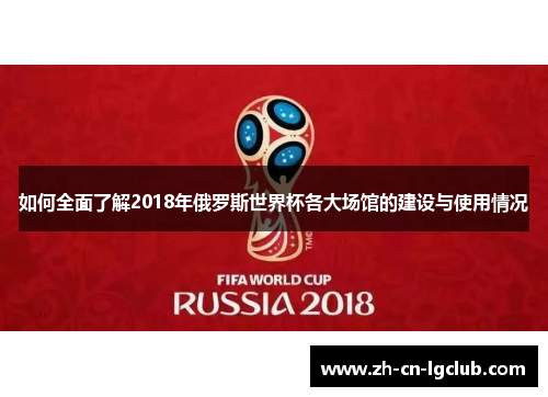 如何全面了解2018年俄罗斯世界杯各大场馆的建设与使用情况
