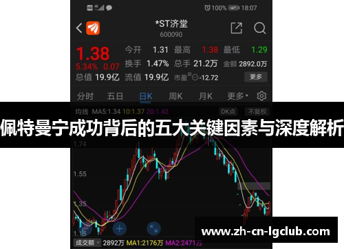佩特曼宁成功背后的五大关键因素与深度解析