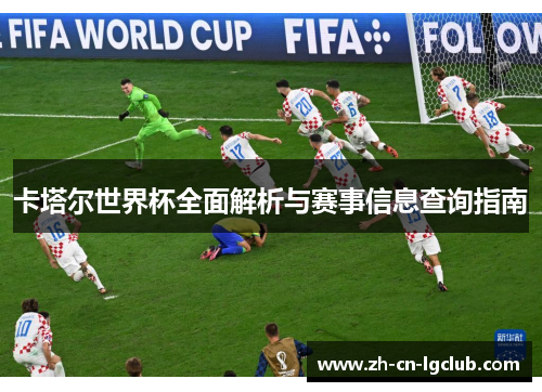 卡塔尔世界杯全面解析与赛事信息查询指南
