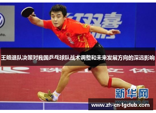 王皓退队决策对我国乒乓球队战术调整和未来发展方向的深远影响