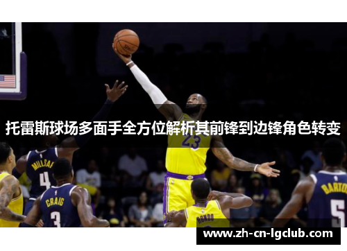 托雷斯球场多面手全方位解析其前锋到边锋角色转变