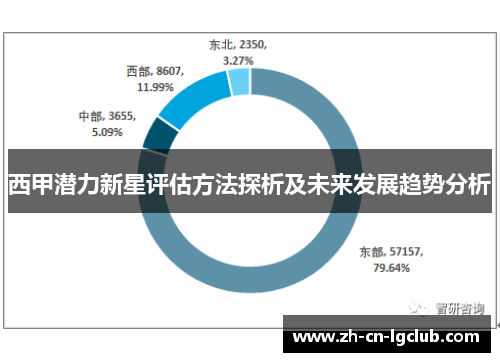 西甲潜力新星评估方法探析及未来发展趋势分析