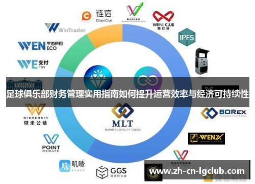 足球俱乐部财务管理实用指南如何提升运营效率与经济可持续性